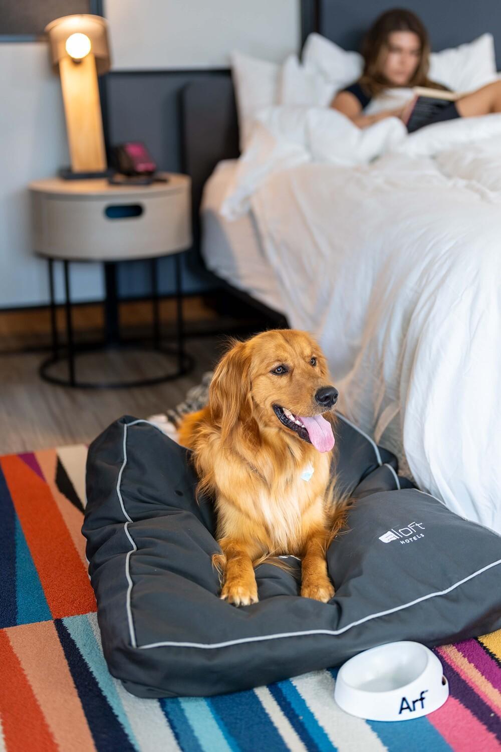 Aloft Green Bay Hotell Eksteriør bilde